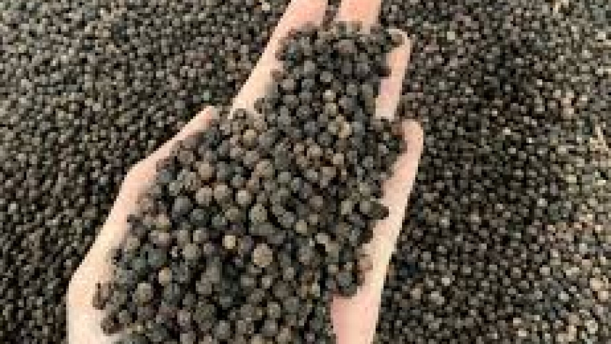 “Vàng đen” của Việt Nam vươn lên dẫn đầu nguồn cung cho Thái Lan